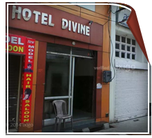 Hotel Divine